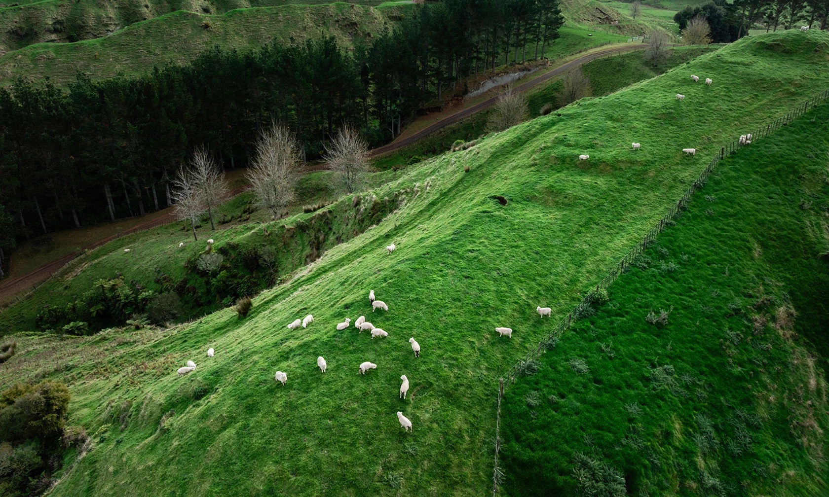 Aerial view of New Zealand hill farm