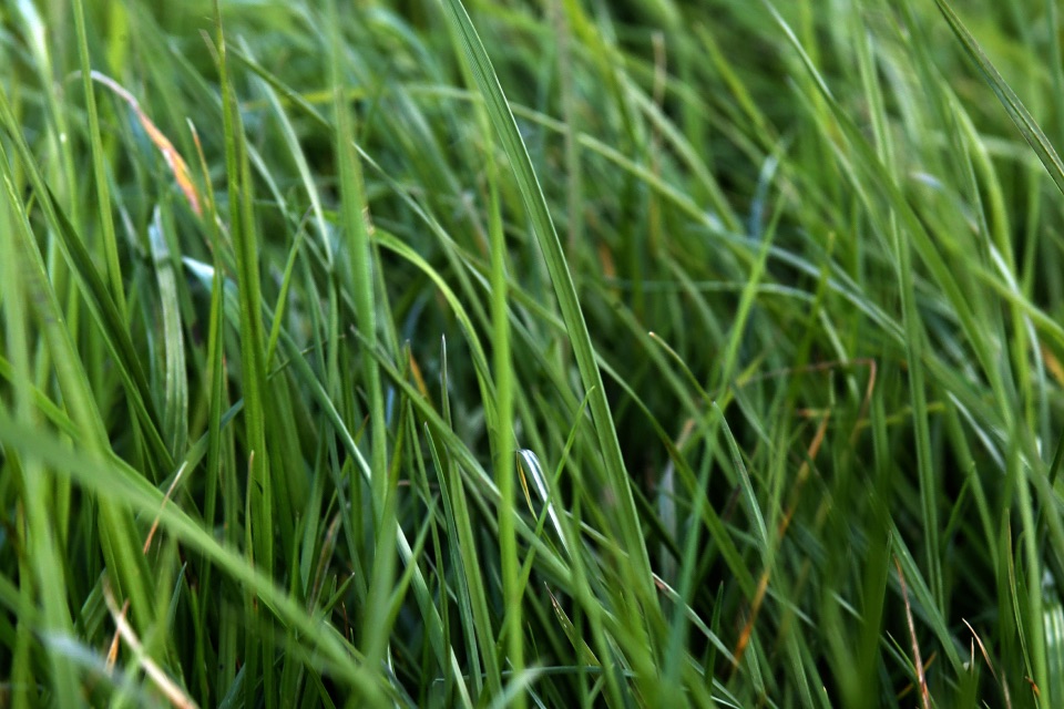 Feed testing kit on New Zealand farm